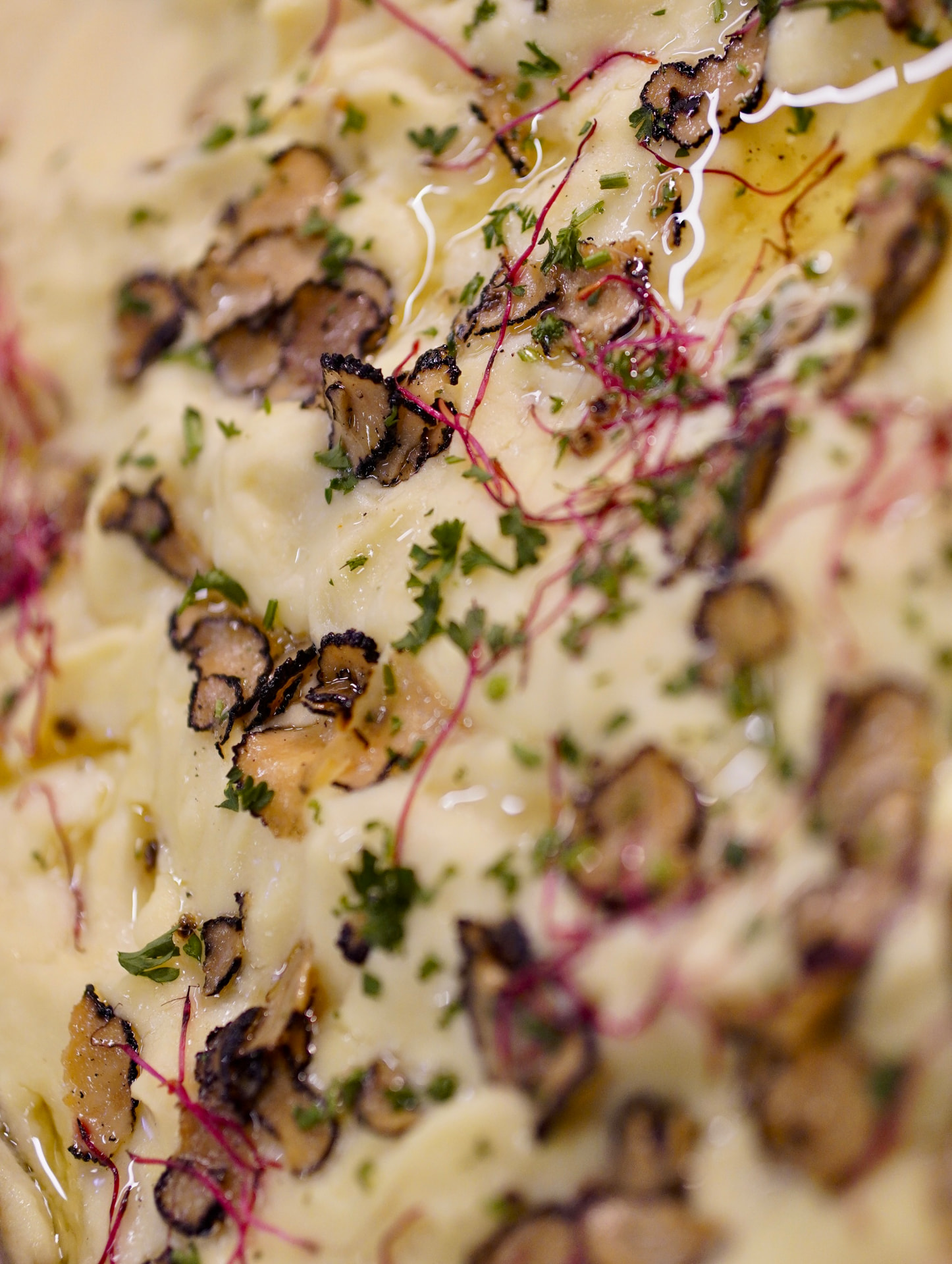 Cremige Kartoffelbeilage mit Pilzen, Kräutern und Sprossen